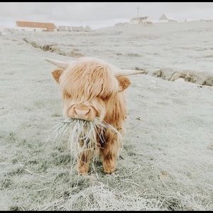 Meet your Posher, Ellie